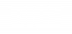 dice-white-small-300x144